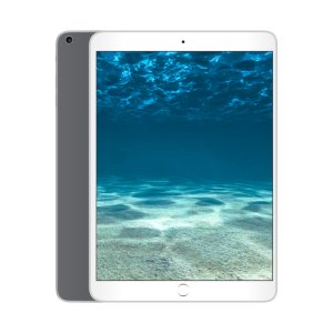 iPad® (8th Gen) | Pro-Certified™ | 32GB | SPACE GRAY | CLEARANCE